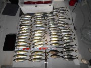 DSCN1195
