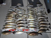 DSCN1198