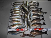 DSCN1204